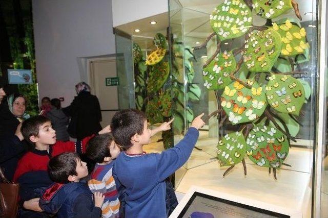 Suriyeli Yetimler Tropikal Kelebek Bahçesi’ni Gezdi