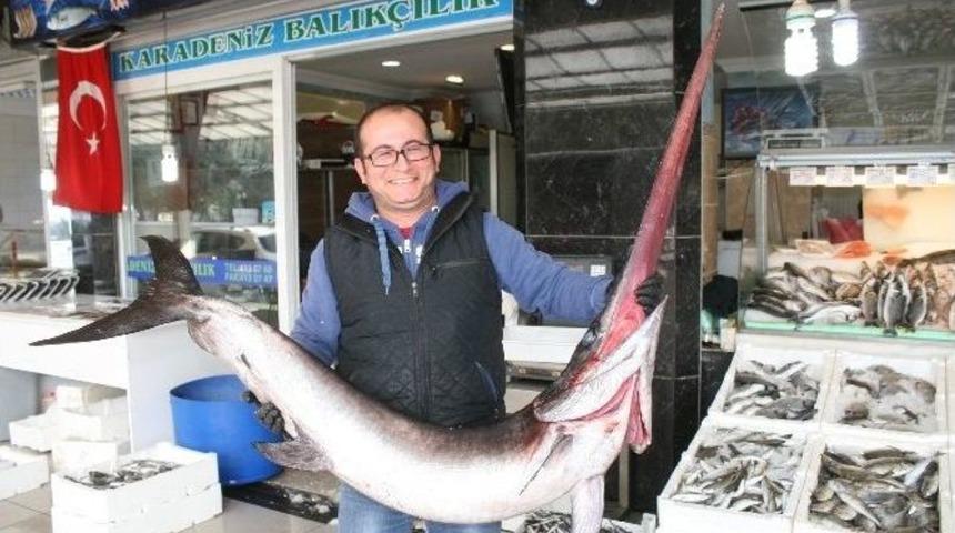 Marmaris&rsquo;te Kılı&ccedil;lar &Ccedil;ekildi