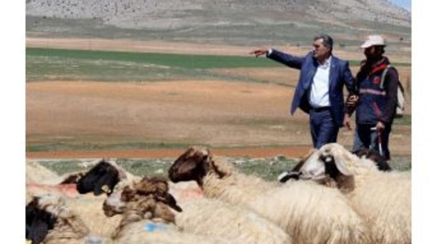 Konuk&rsquo;tan Kooperatif&ccedil;ilik G&uuml;n&uuml; Mesajı