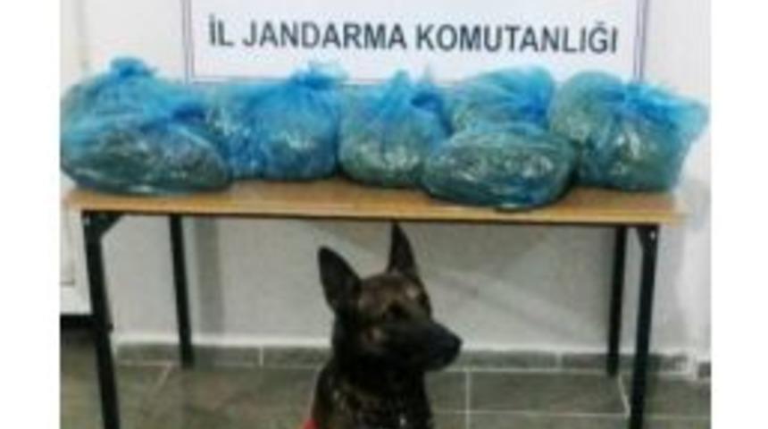 Jandarma&rsquo;dan Esrar Ve Ka&ccedil;ak Sigara Operasyonları