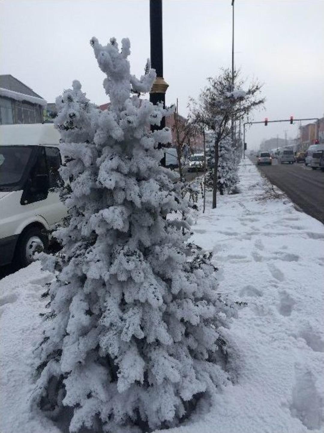 &Ccedil;aldıran Dondu