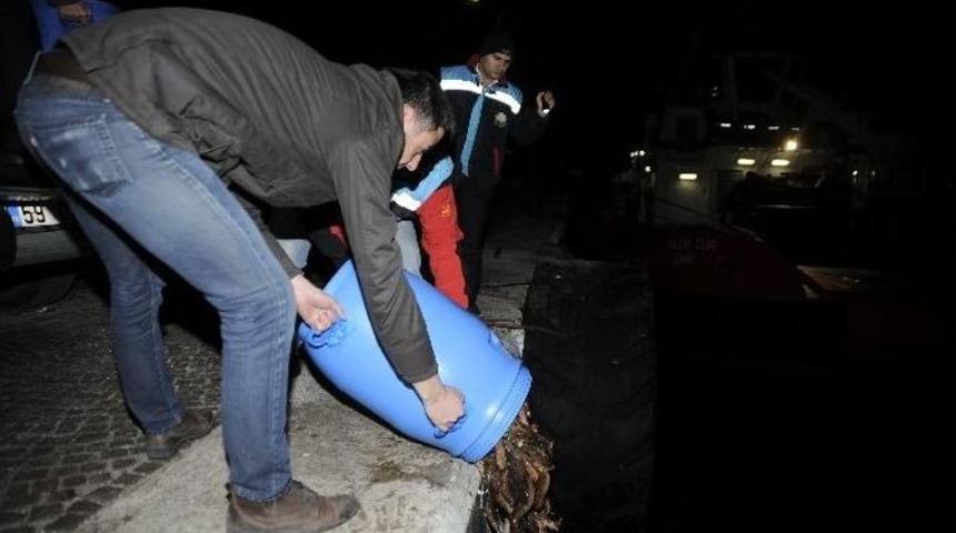 &Ccedil;anakkale&rsquo;de Deniz Patlıcanı Operasyonu