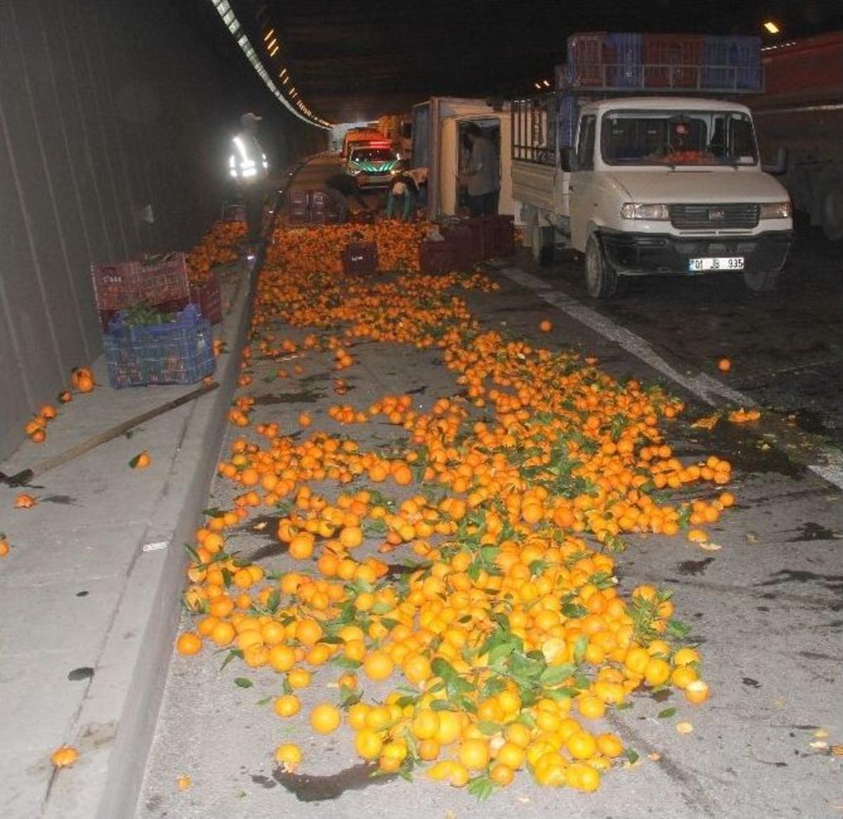 Mal Canın Yongası
