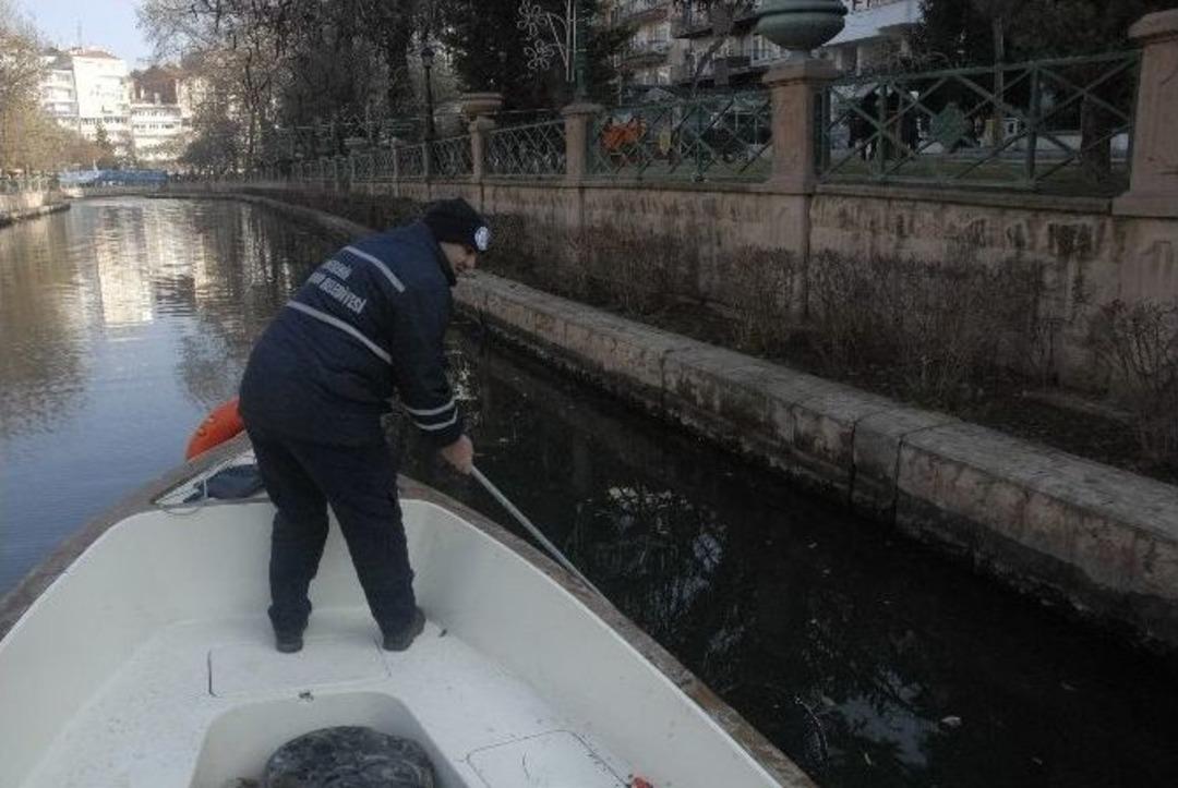 Soğuk Hava Porsuk &Ccedil;ayı&rsquo;na Yaradı