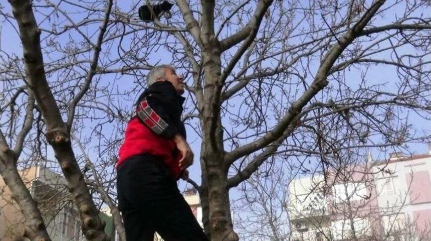 T&uuml;rk İşi Kedi Kurtarma Operasyonu