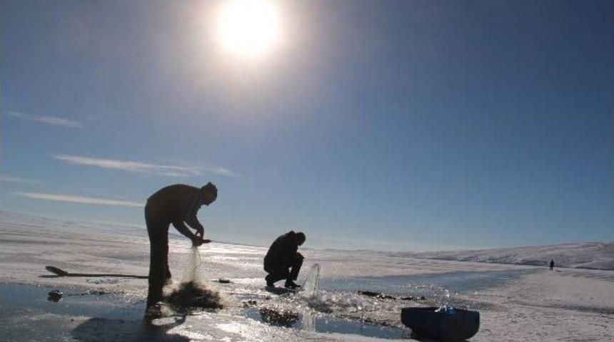 &Ccedil;ıldır G&ouml;l&uuml;&rsquo;nde İlk Ağlar &Ccedil;ekildi