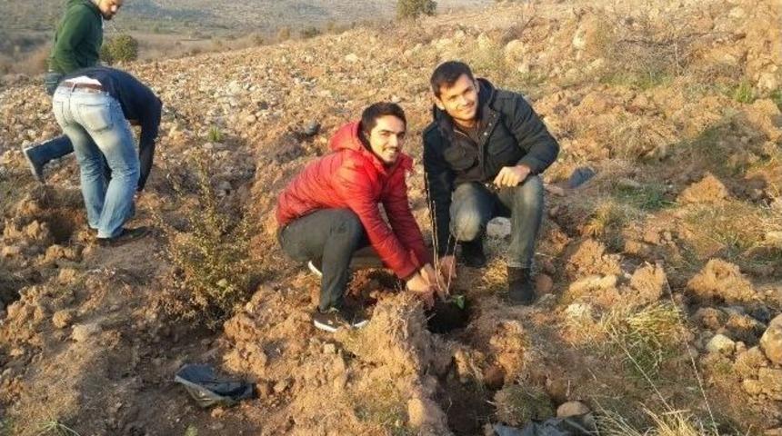 &Uuml;niversiteli &Ouml;ğrenciler G&ouml;let &Ccedil;evresine Fidan Dikti