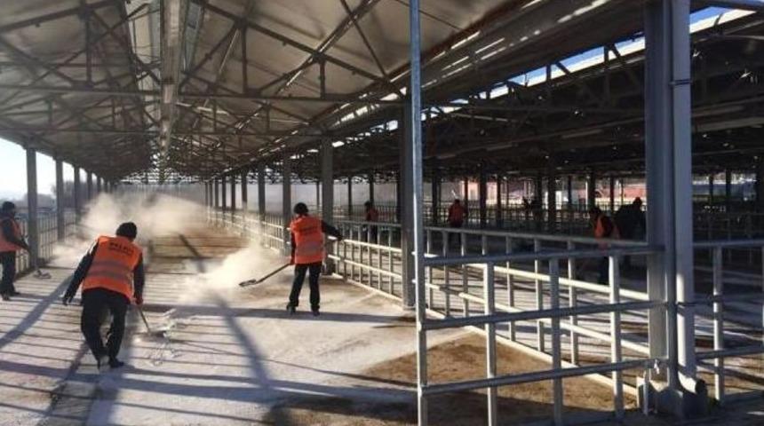 G&uuml;m&uuml;şhane&rsquo;de Nepal Tip Şap Aşılaması Başladı