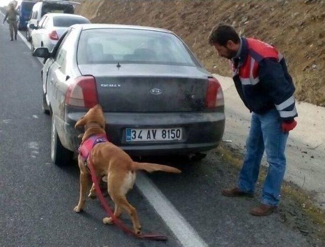 Elazığ’da 7 Kilo Esrarla Yakalanan 2 Şüpheli Tutuklandı