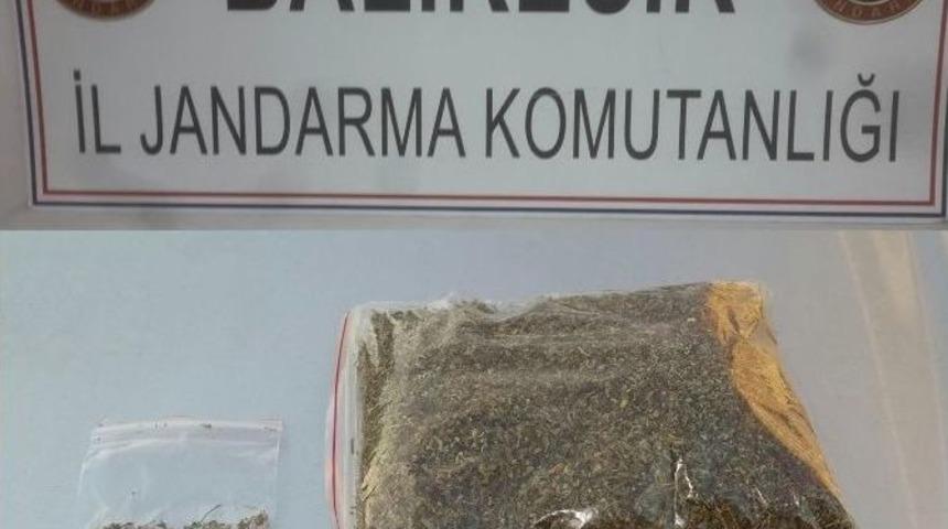 Jandarmadan Uyuşturucu Operasyonu