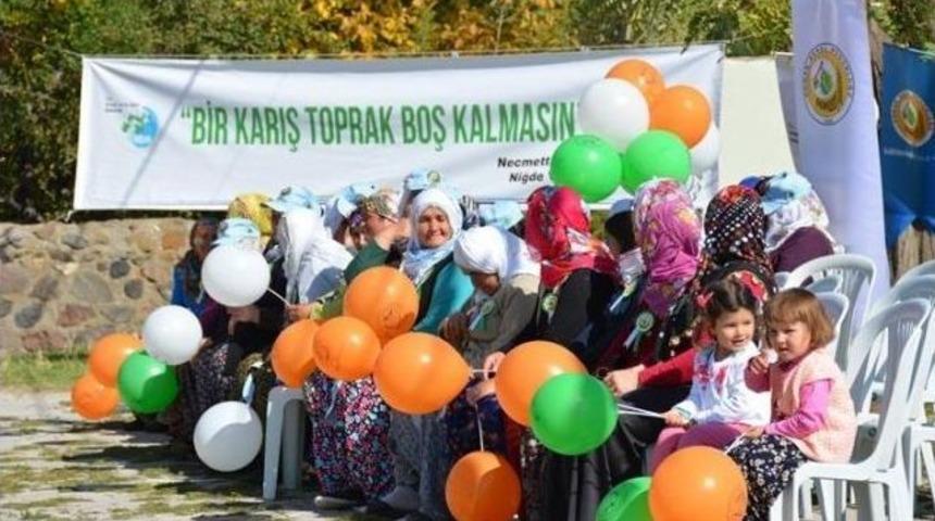 Niğde Fidan Dikiminde Türkiye Rekoru Aldı