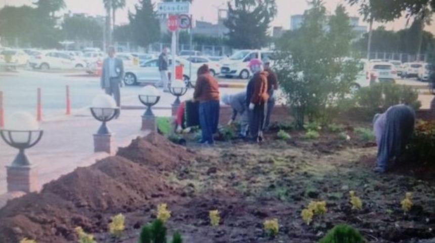 Adana Havalimanı Belediyelerin İşbirliğiyle Yeşillendiriliyor