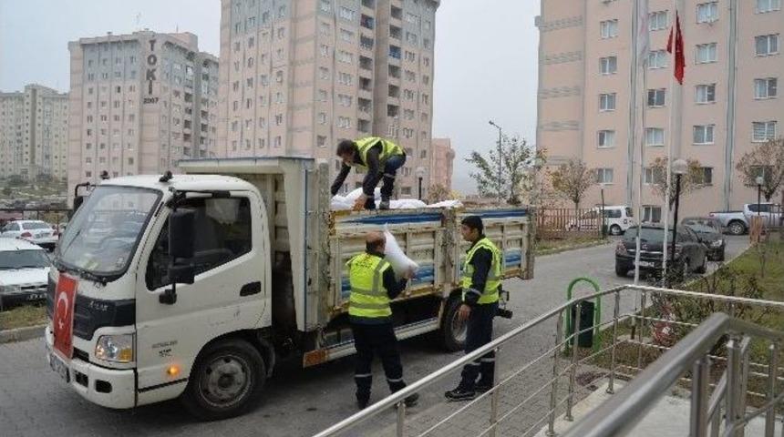 Karesi Kışa Hazır