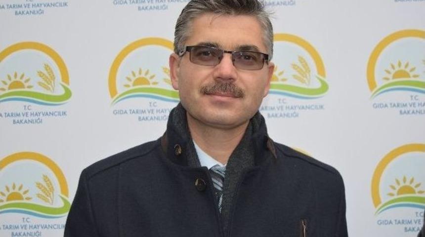 İl Gıda,tarım Ve Hayvancılık M&uuml;d&uuml;rl&uuml;ğ&uuml; Mevlid Kandili Dolayısıyla S&uuml;t Dağıttı