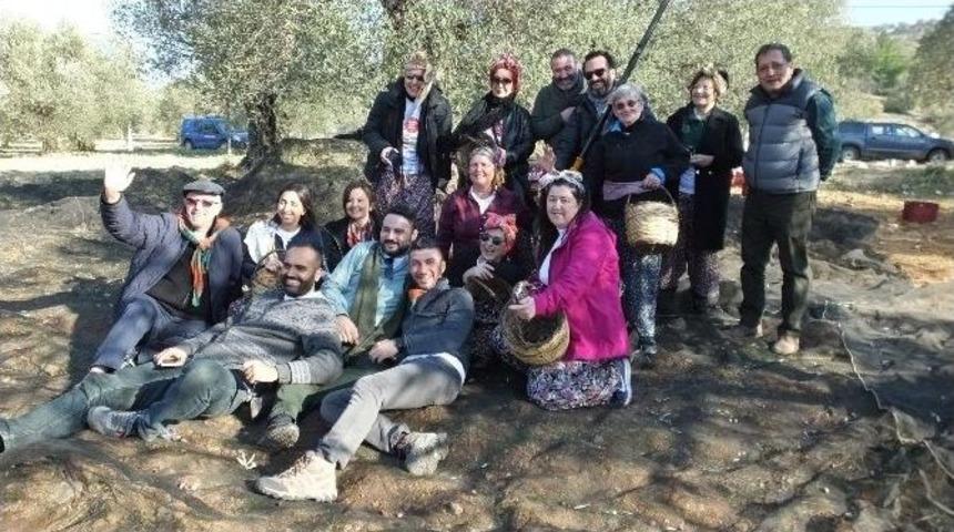 Canan Karatay G&ouml;me&ccedil;&rsquo;te Zeytin Hasat Şenliğine Katıldı