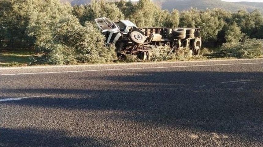 Kamyon Zeytin Bah&ccedil;esine U&ccedil;tu