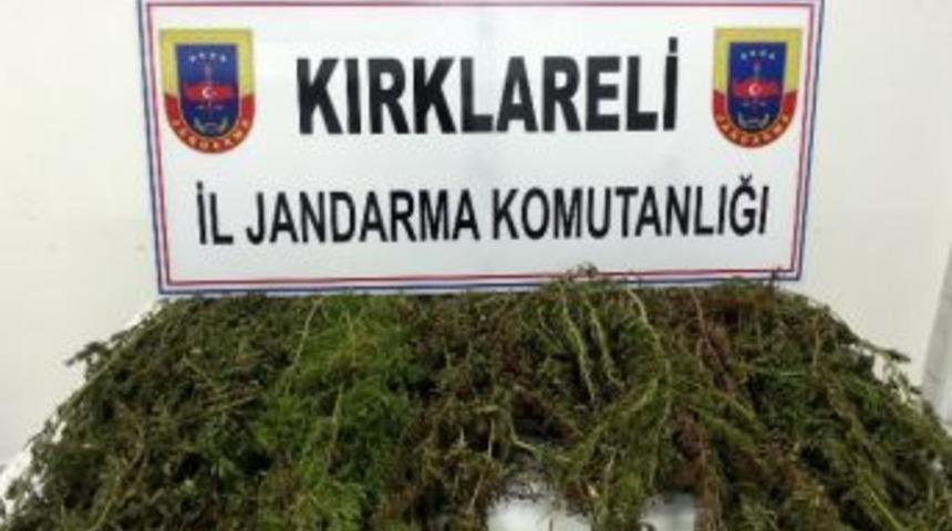 Kırklareli&rsquo;de Esrar Ve Kenevir Ele Ge&ccedil;irildi