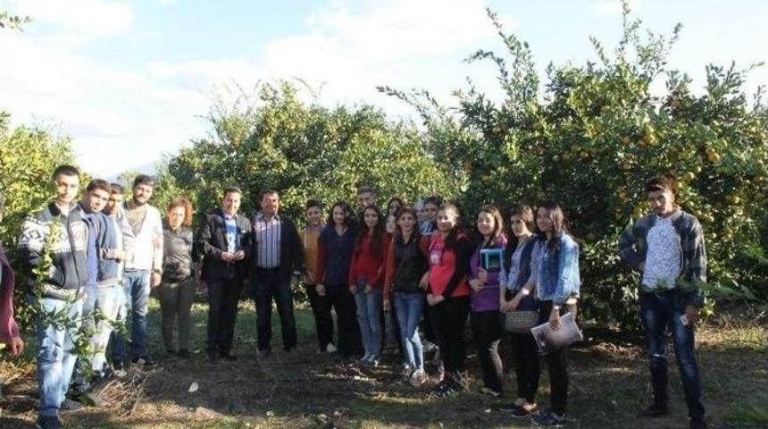 &Ouml;ğrenciler Narenciye Bah&ccedil;esini Ziyaret Etti