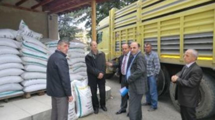 D&uuml;zce&rsquo;de Yem Bitkisi Yetiştiriciliği Teşvik Ediliyor