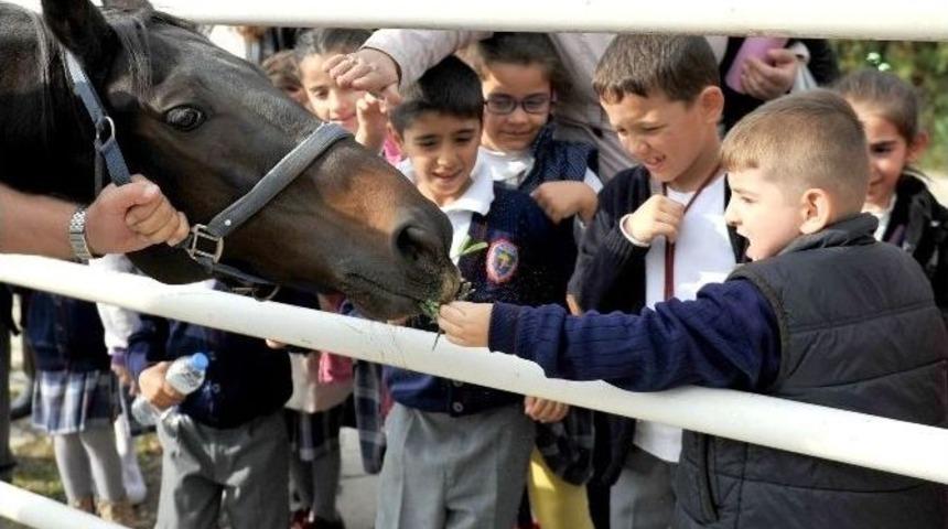 &Ouml;ğrenciler Can Dostlarını Yalnız Bırakmadı