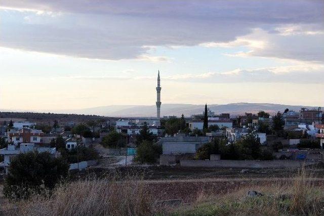 Ölü Bulunan Abdullah Öcalan’ın Yeğeni Toprağa Verildi