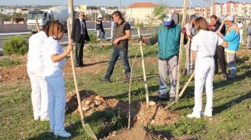 Kaymakam Y&ouml;nden, &Ouml;ğrencilerle Fidan Dikti