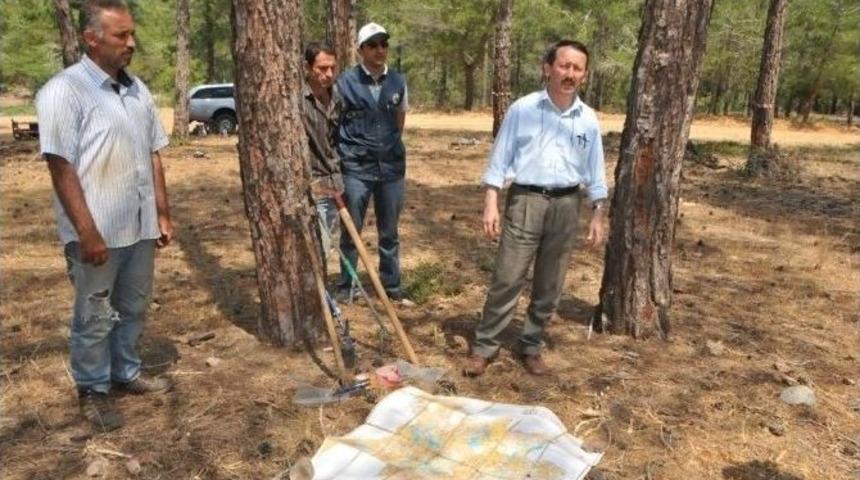 Mersin&rsquo;de Orman K&ouml;yl&uuml;s&uuml; Re&ccedil;ineden De Kazanacak