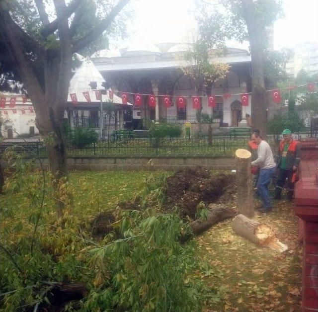 Trabzon’da Şiddetli Rüzgâr Ve Yağış Hasara Neden Oldu