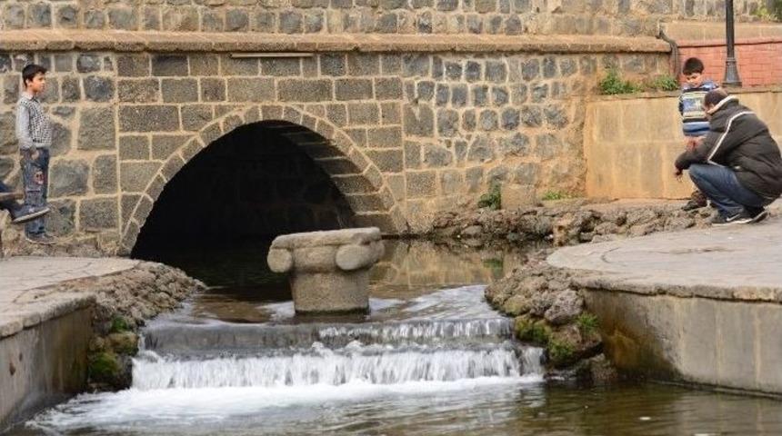 Diyarbakır B&uuml;y&uuml;kşehir Belediyesi&rsquo;ne &Ouml;d&uuml;l