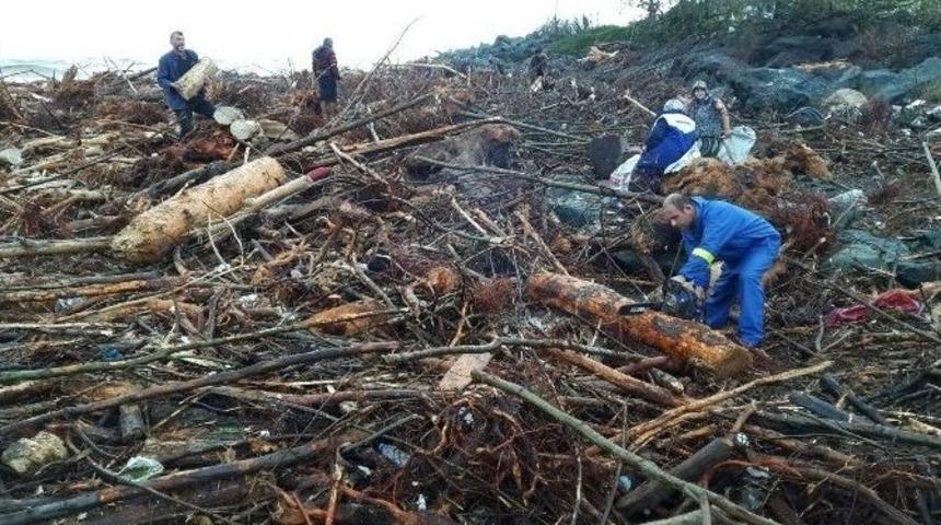 Kışlık Odunlarını Denizden &Ccedil;ıkardılar