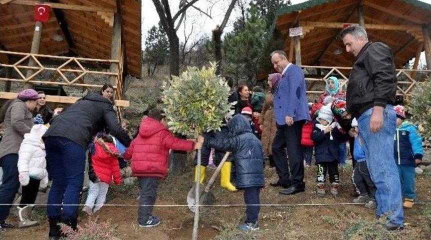Bisiklet Yolu, Minik Ellerle Yeşeriyor