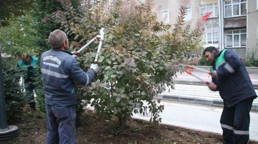 Yozgat Belediyesinde Ağa&ccedil;lara Kışlık Bakım