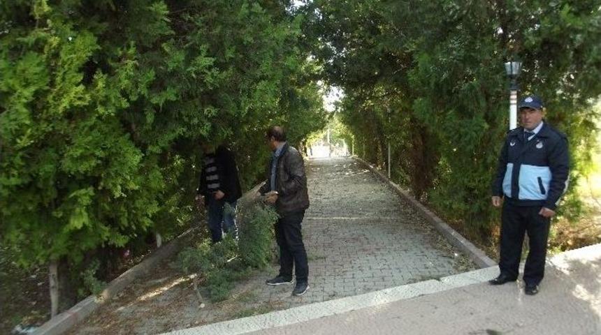 Ak&ccedil;adağ Belediyesi, Camilerin Temizliğine Başladı