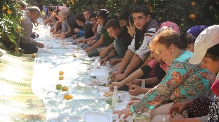 "dörtyol Narenciyesi Emin Ellerde" Projesi Hayata Geçirildi