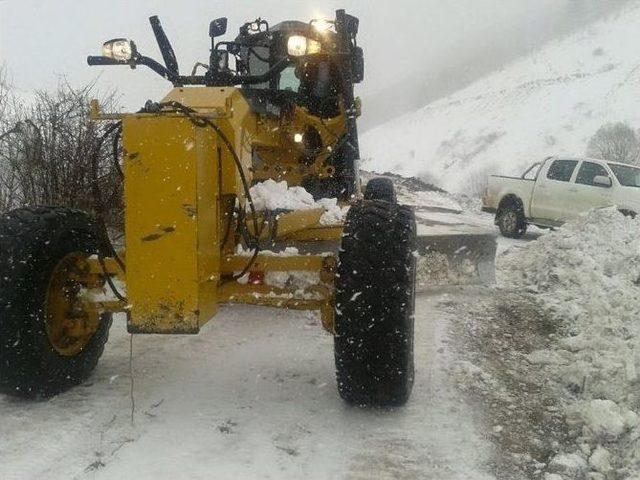 Erzurum’da Tipi’de Mahsur Kalan Vatandaşlar 6 Saatlik Çalışma Sonucu Kurtarıldı