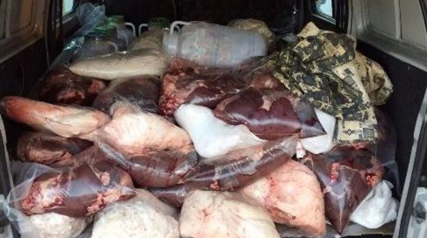 Jandarmadan Hayvan Ka&ccedil;ak&ccedil;ılarına Darbe