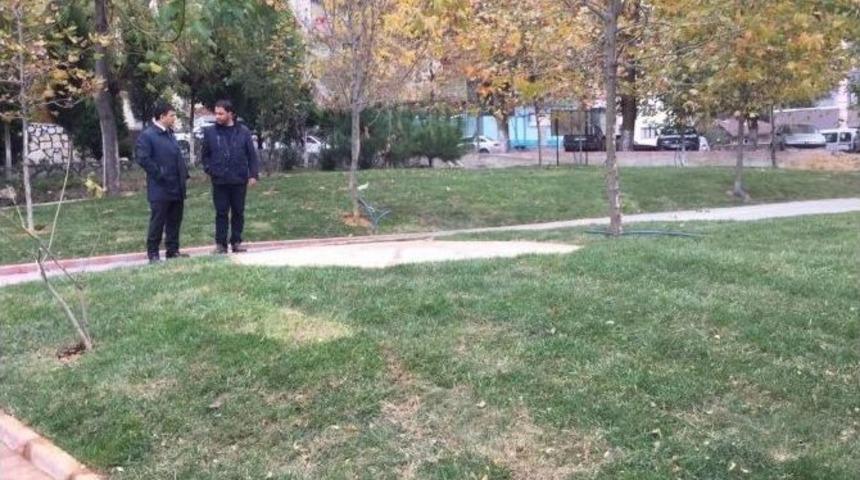 Şahin Peyzaj &Ccedil;alışmalarını İnceledi