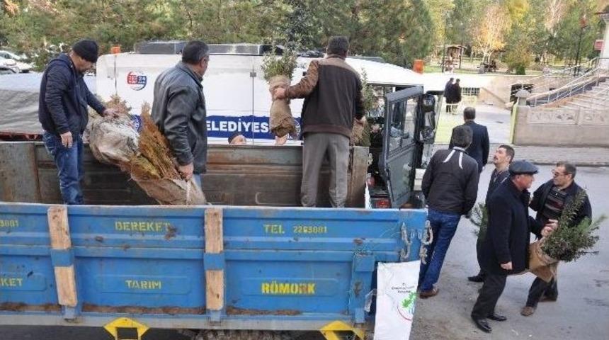 Cuma Namazı Sonrası 5 Bin 230 Fidan Dağıtıldı