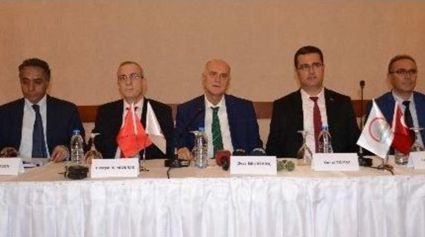 Fındıkta B&uuml;y&uuml;k Başarı