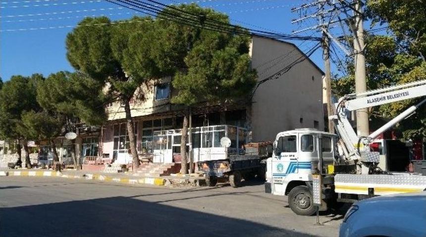 Alaşehir&rsquo;de Ağa&ccedil;lar Budanıyor