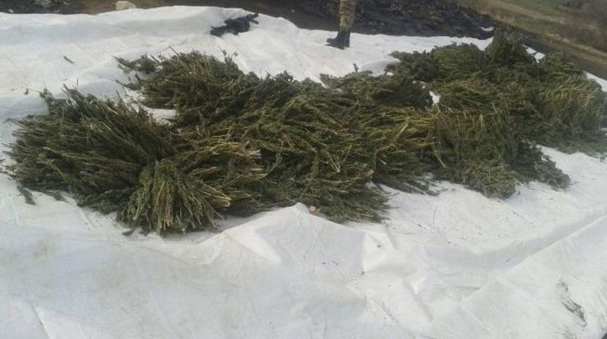 Diyarbakır’da Silah Ve Uyuşturucu Operasyonu