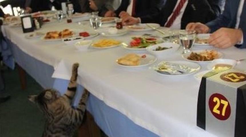 Başkan Savaş&rsquo;ın Basın Toplantısında "kedi" S&uuml;rprizi
