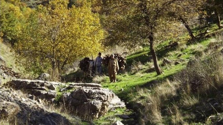 Vatandaşların Kış Telaşı Başladı
