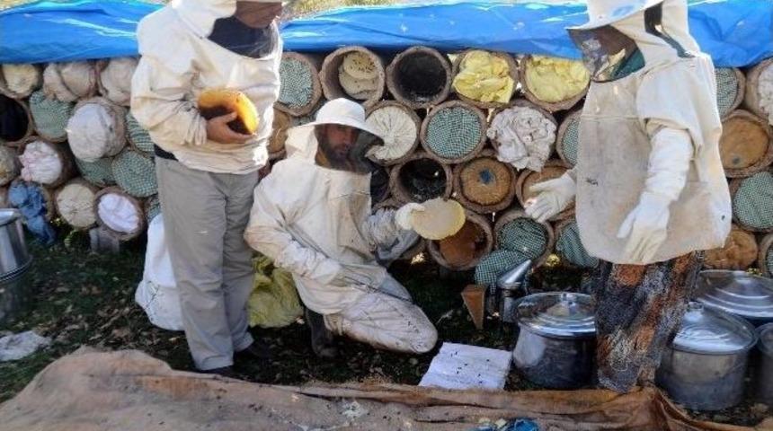 Hizan&rsquo;da "arıcılığı Geliştirme" Projesi