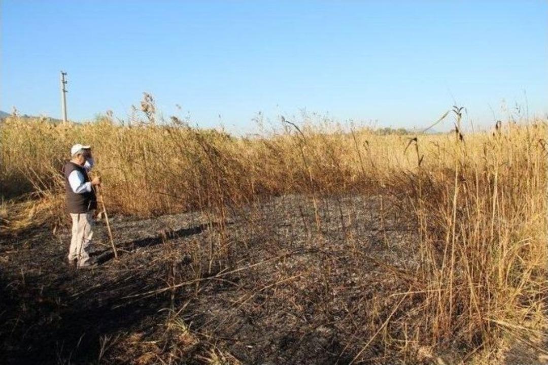 Bafa Tabiat Parkı&rsquo;nda Sazlık Yangını