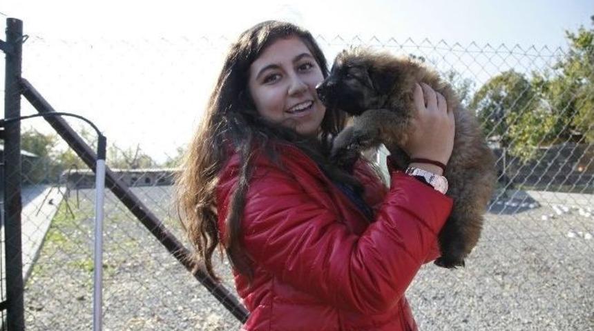 Odunpazarı&rsquo;nda Yediden Yetmişe Hayvan Sevgisi