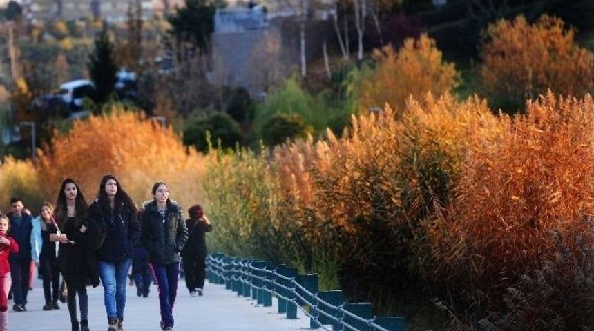 Ankara&rsquo;nın Parklarından Sonbahar Manzaraları