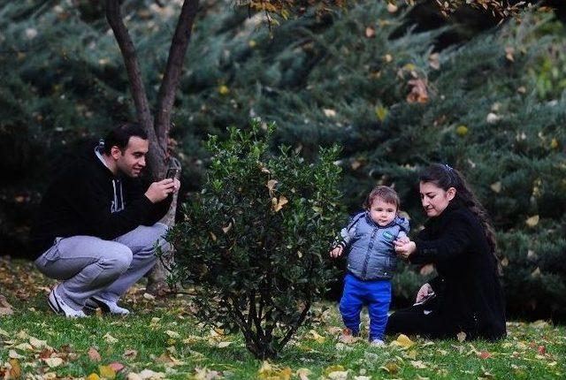 Ankara’nın Parklarından Sonbahar Manzaraları