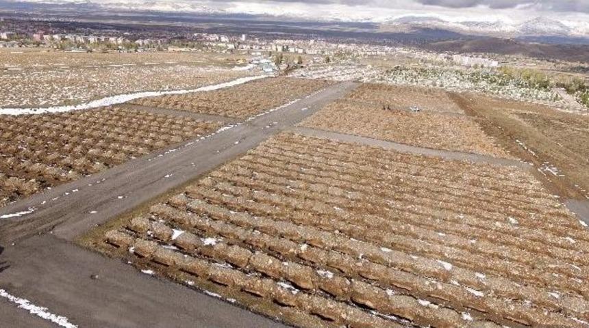 Erzurum&rsquo;daki Mezarlık Hizmetlerinde Kış Hazırlığı