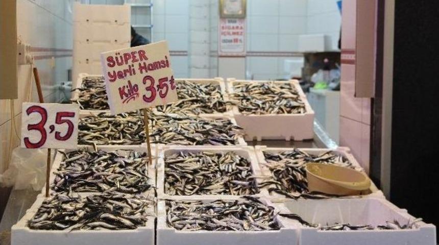 Balık Tezgahında Hamsi Arttı Fiyat D&uuml;şt&uuml;